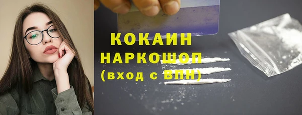 индика Новокубанск