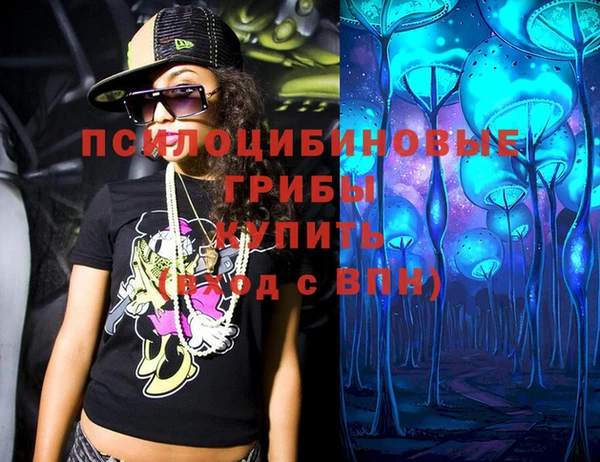 МДПВ Новозыбков